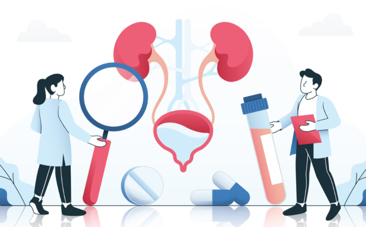  Urinary Tract Infection